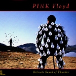 Delicate Sound Of Thunder (1988)