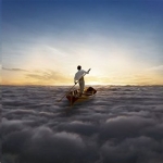 The Endless River (2014)