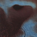 Meddle